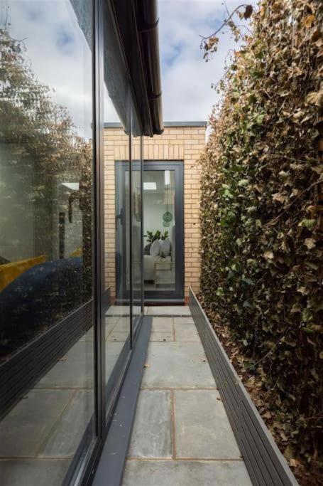 Cozy Leyton House With Garden And Small Terrace London Eksteriør billede